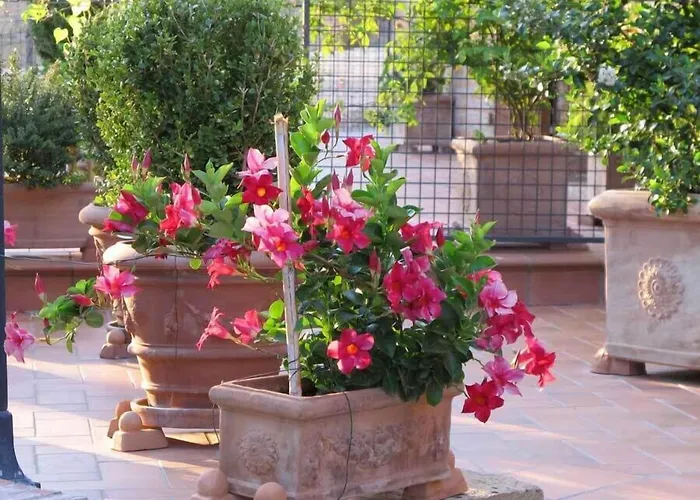 Agriturismo Colombaiolo Pienza